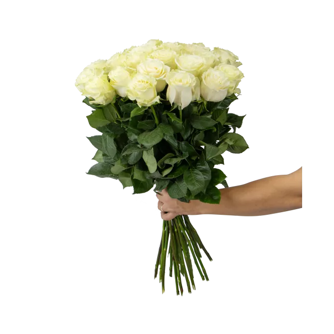 bouquet of Ecuadorian roses 80cm